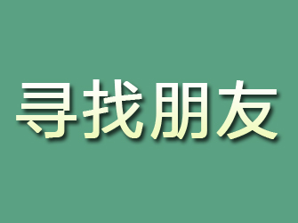 田林寻找朋友