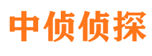 田林市侦探调查公司